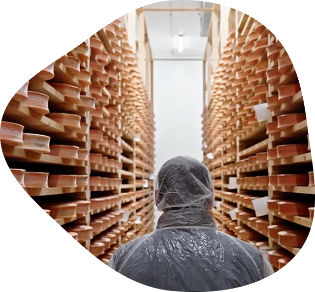 Affineur dans la cave Tom & Fleur