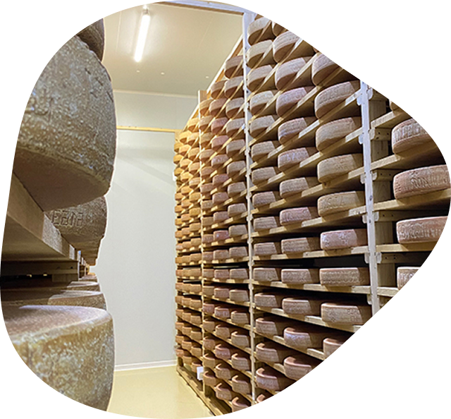 Cave d'affinage Tom & Fleur