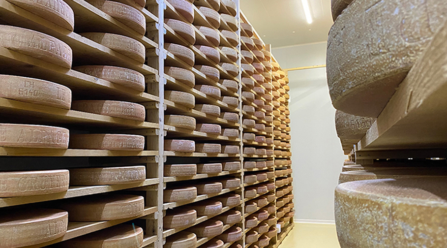 Cave d'affinage Tom & Fleur