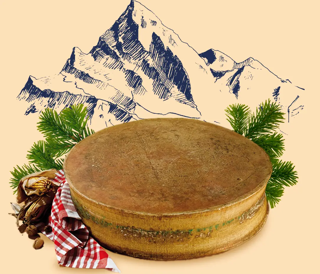 La fromagerie Tom & Fleur à Thonon